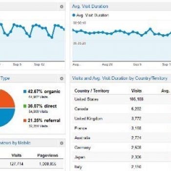 Web Analytics: Your Priceless Business Tool