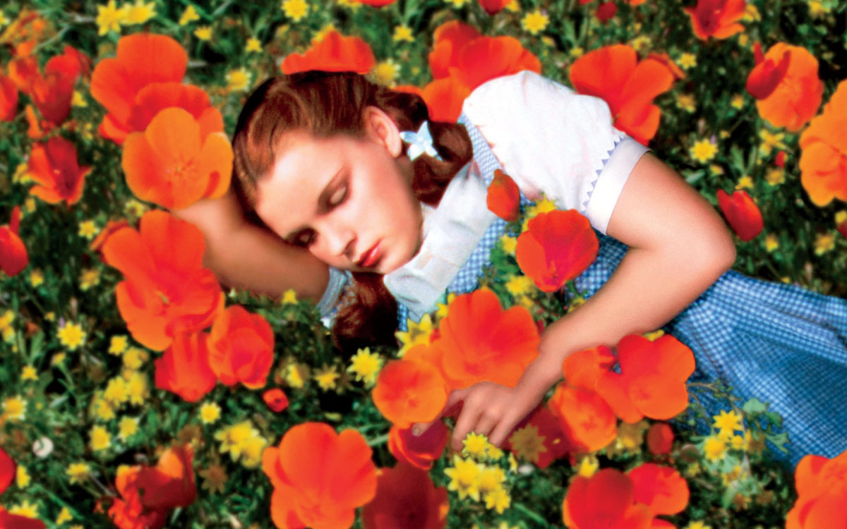 Dorothy Sleeping in Poppy Field